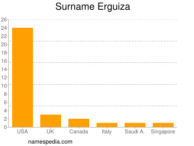 Surname Erguiza