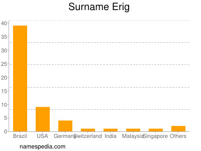 Surname Erig