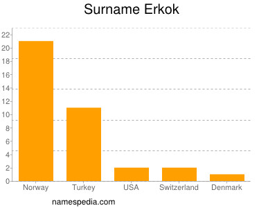 Familiennamen Erkok