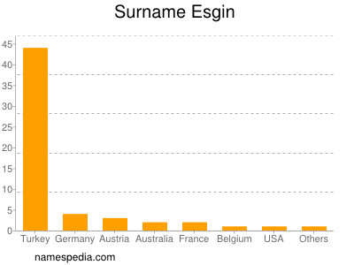 Surname Esgin