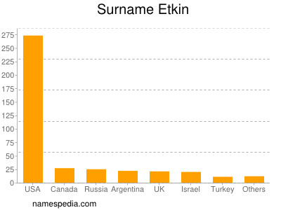 Surname Etkin