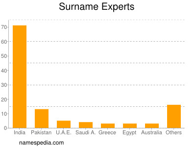 Surname Experts