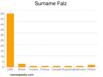 Surname Falz