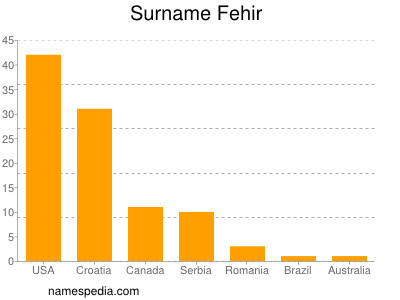 Familiennamen Fehir