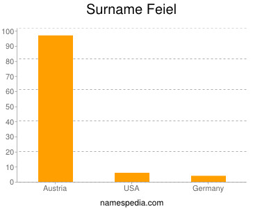 Surname Feiel