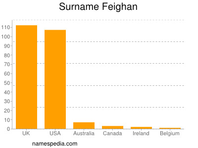 Familiennamen Feighan