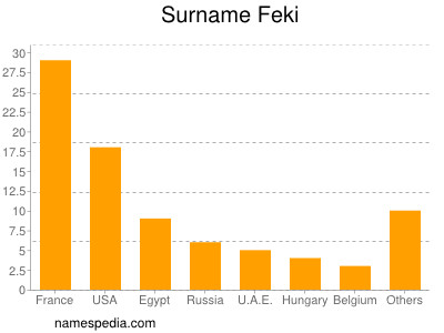 Familiennamen Feki