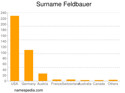 Familiennamen Feldbauer