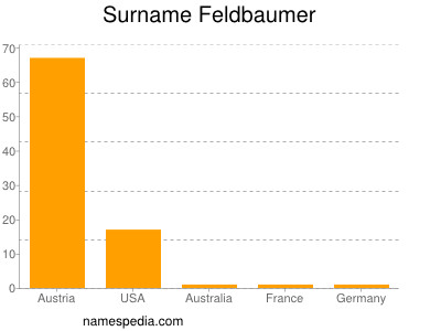 Familiennamen Feldbaumer