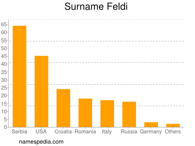 Surname Feldi