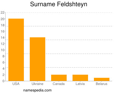 Familiennamen Feldshteyn