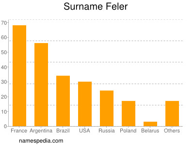 Familiennamen Feler