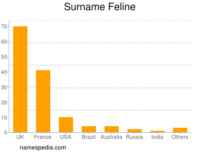 Familiennamen Feline