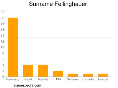Familiennamen Fellinghauer