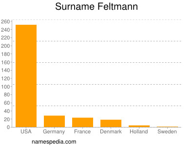 Familiennamen Feltmann