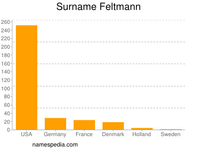 Surname Feltmann