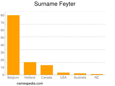 Familiennamen Feyter