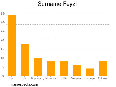 Familiennamen Feyzi