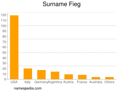 Surname Fieg