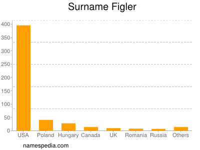 Familiennamen Figler