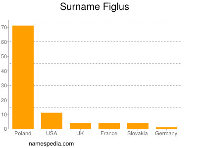 Familiennamen Figlus