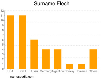 Familiennamen Flech