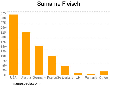 Familiennamen Fleisch