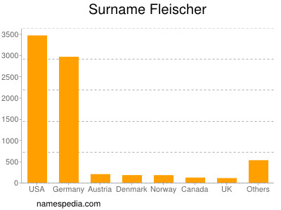 Familiennamen Fleischer