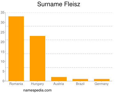 Familiennamen Fleisz