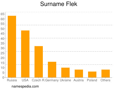 Surname Flek