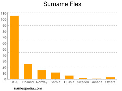 Surname Fles