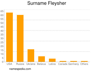 Familiennamen Fleysher