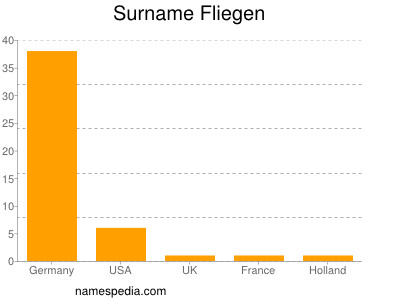 Surname Fliegen