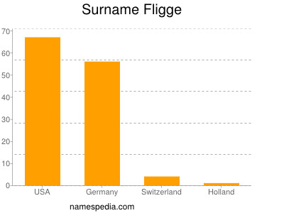 Familiennamen Fligge