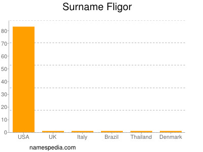 Familiennamen Fligor