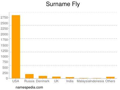 Familiennamen Fly
