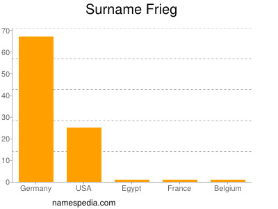 Surname Frieg