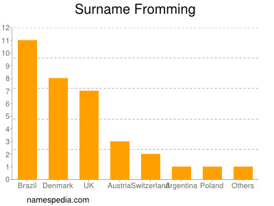 Surname Fromming