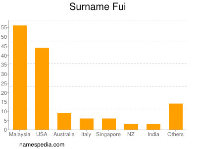 Familiennamen Fui