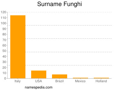 Familiennamen Funghi