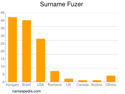 Surname Fuzer