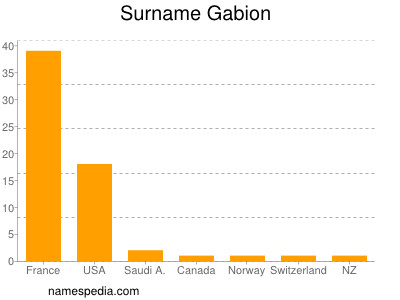 Surname Gabion