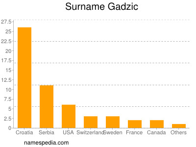 Surname Gadzic