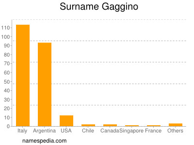 Surname Gaggino