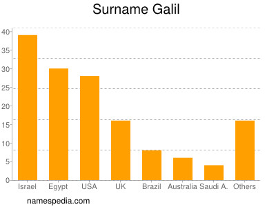 Surname Galil