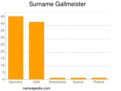 Surname Gallmeister