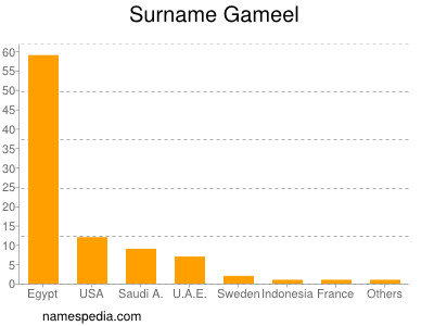 Familiennamen Gameel