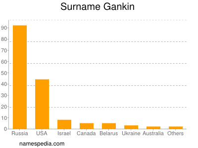 Familiennamen Gankin