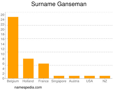 Familiennamen Ganseman