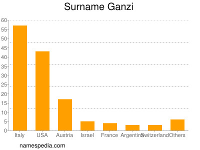 Familiennamen Ganzi